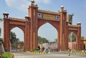LHC Seeks Inquiry into 228 Illegal Recruitments at Faisalabad University